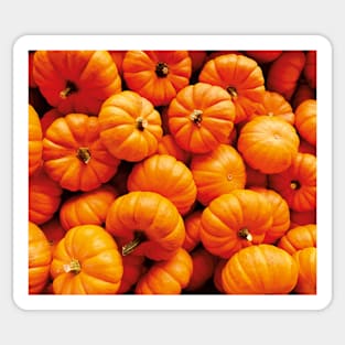 Halloween pumpkins Sticker